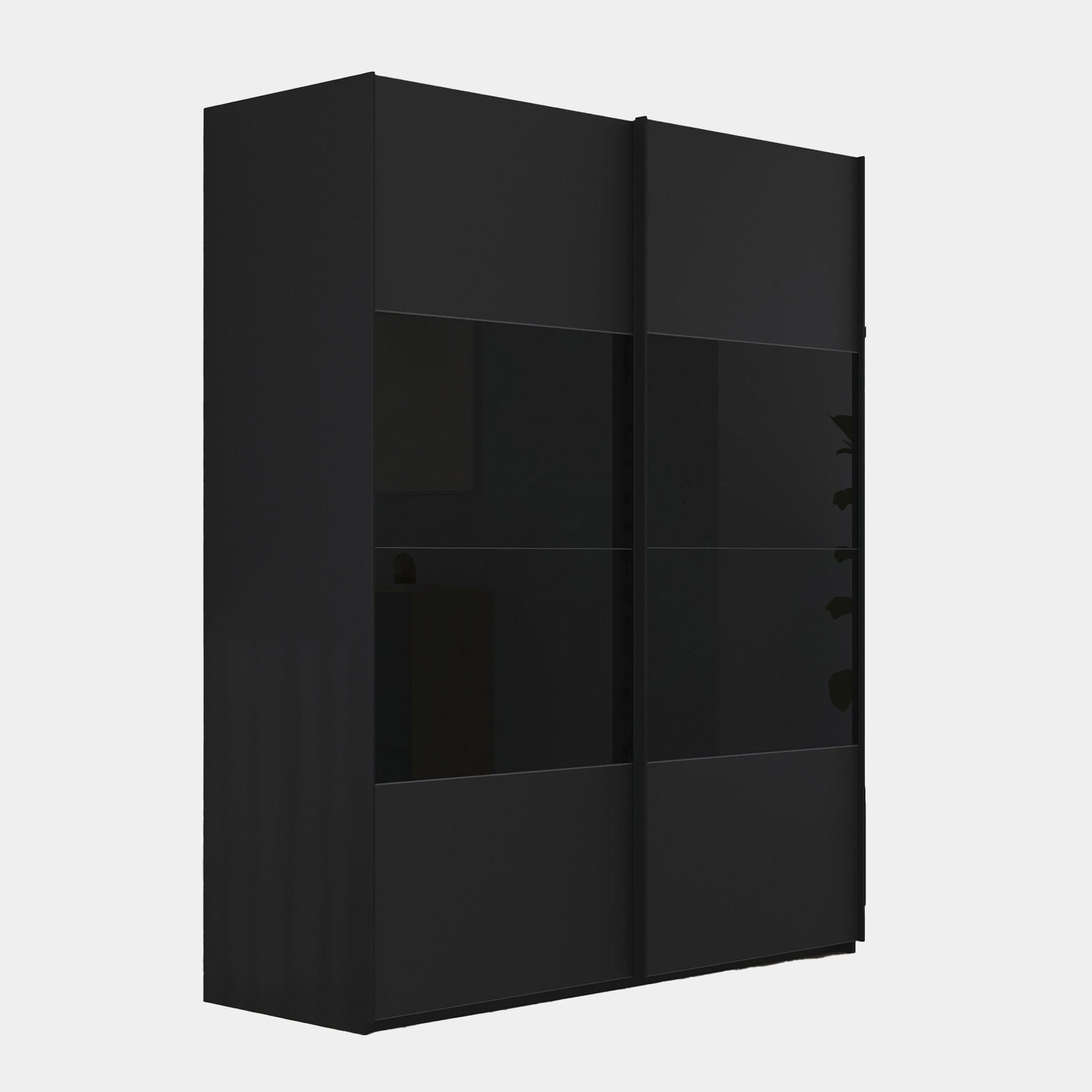 Montpelier - 200cm 5DEE Mix Colour/Matt Glass 2 Door Sliding Robe 223cm H