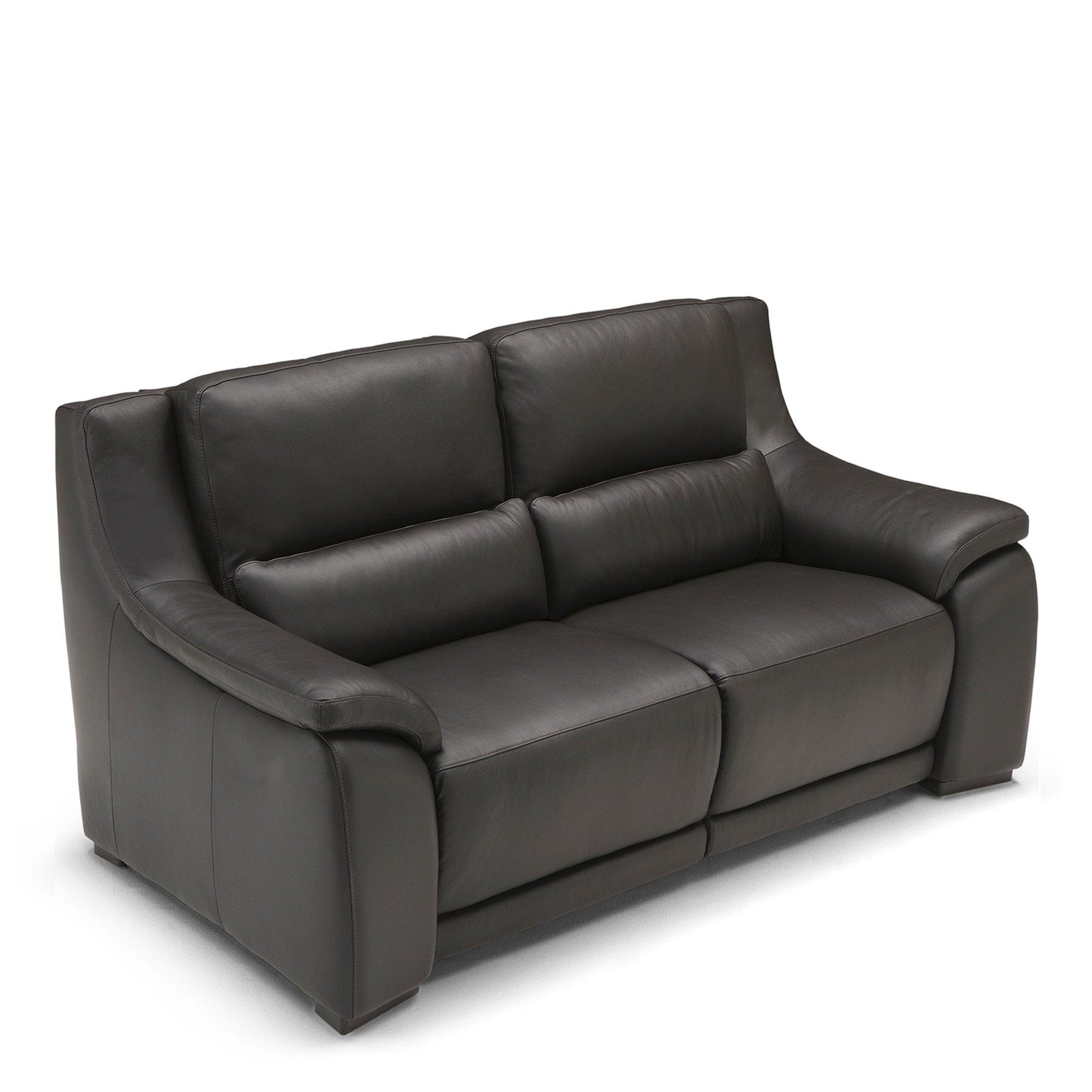 2 Seat Sofa In Leather Cat L15