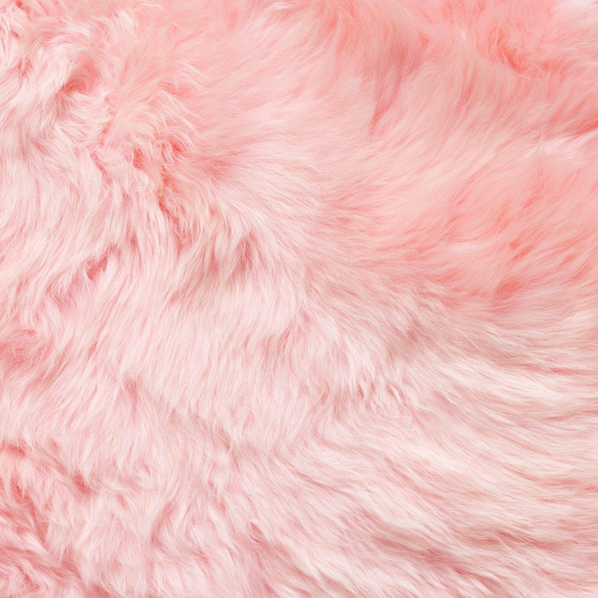 Sheepskin - 2 Piece Rug Candy Floss