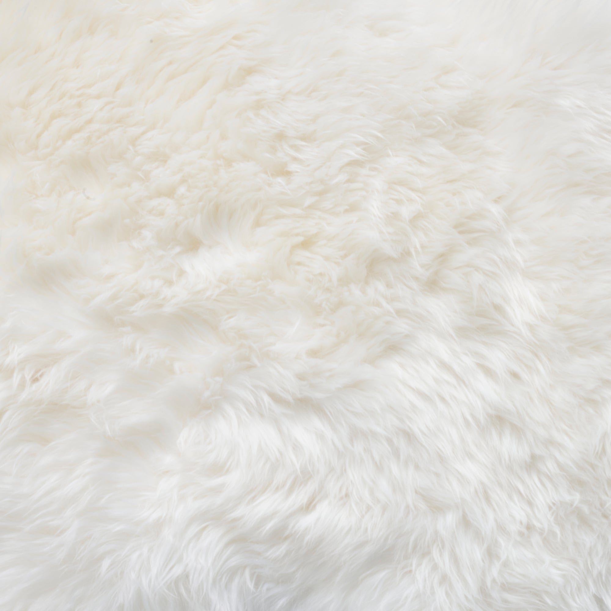 Sheepskin - 4 Piece Rug Ivory