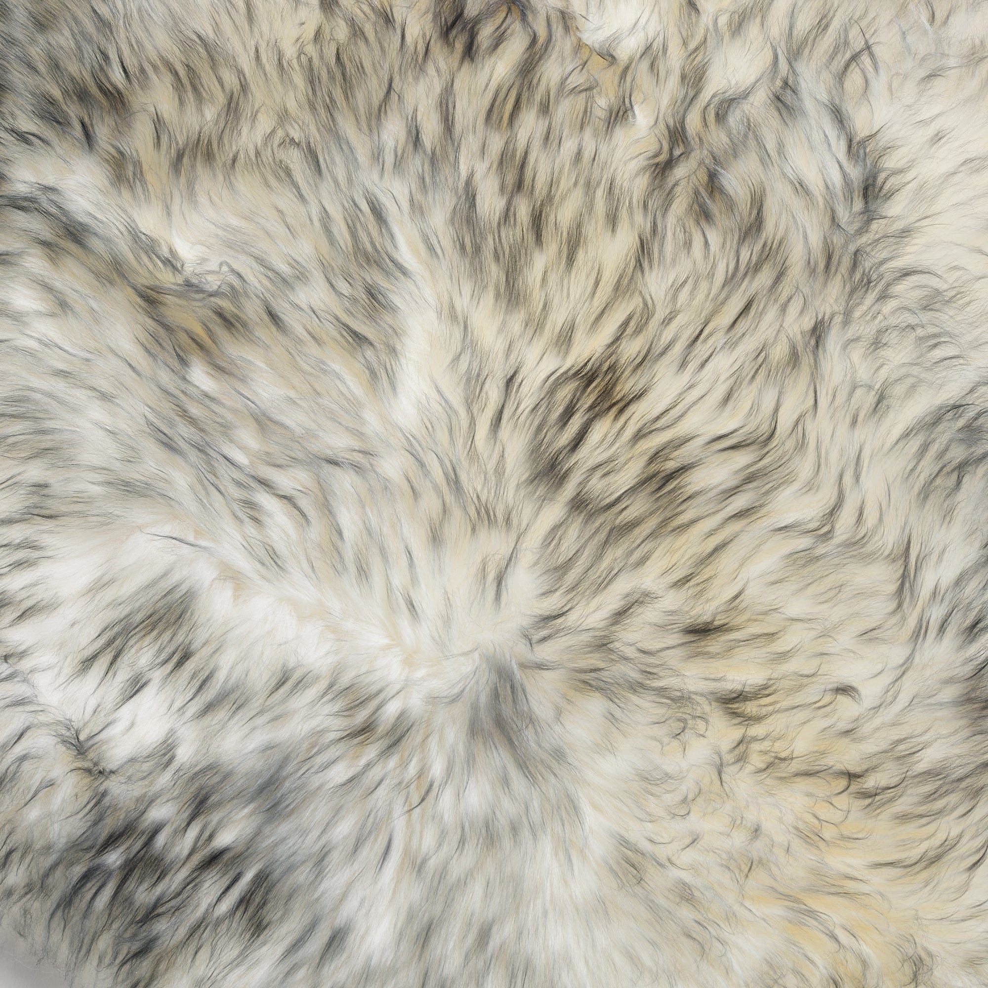 Sheepskin - Rug, Single Piece