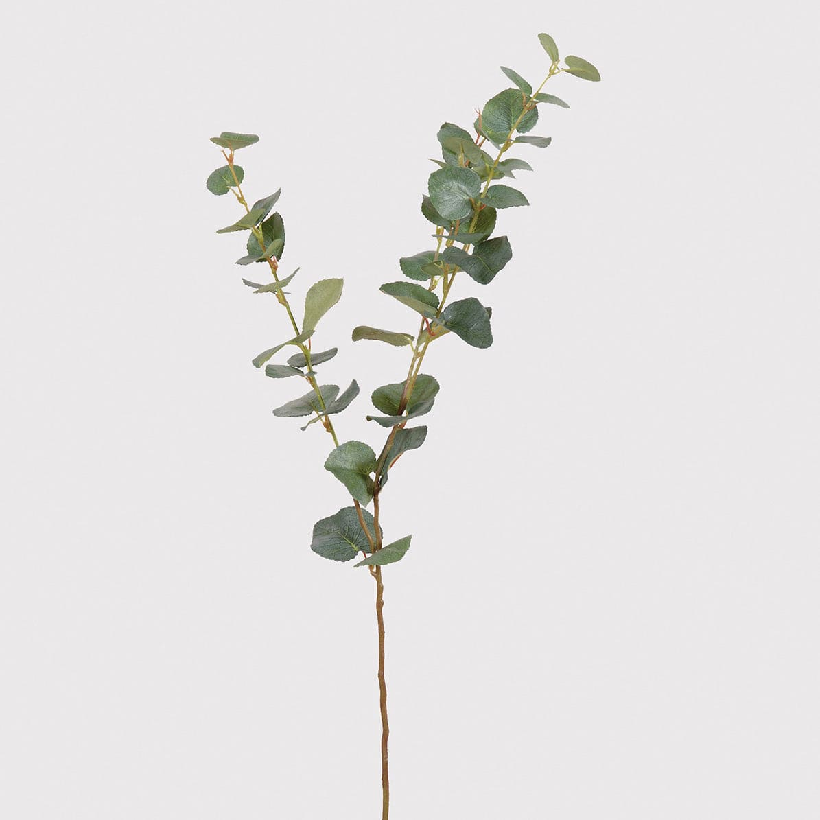 Natural Eucalyptus Spray