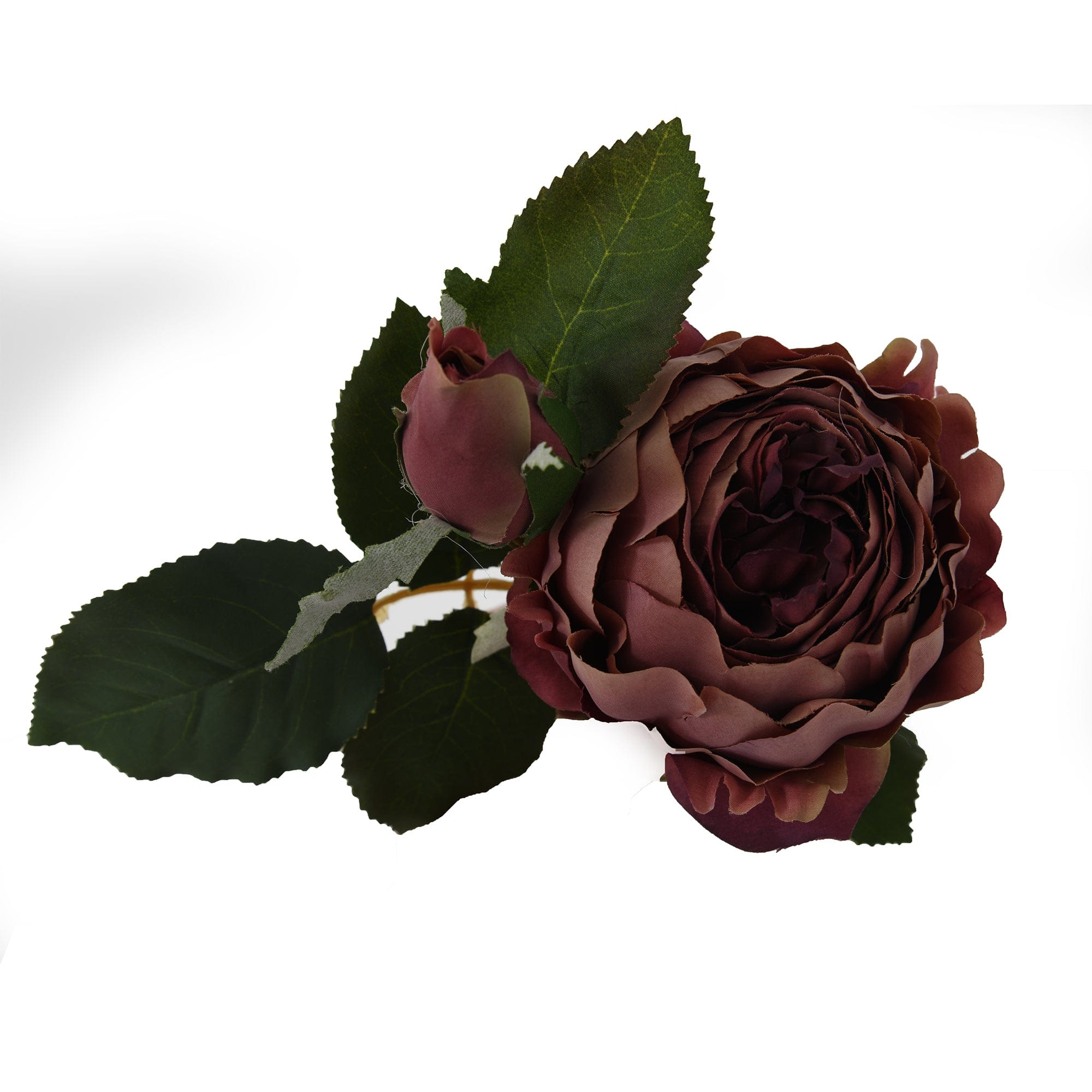 Dusty Pink Spray Rose Peony Stem (FR)