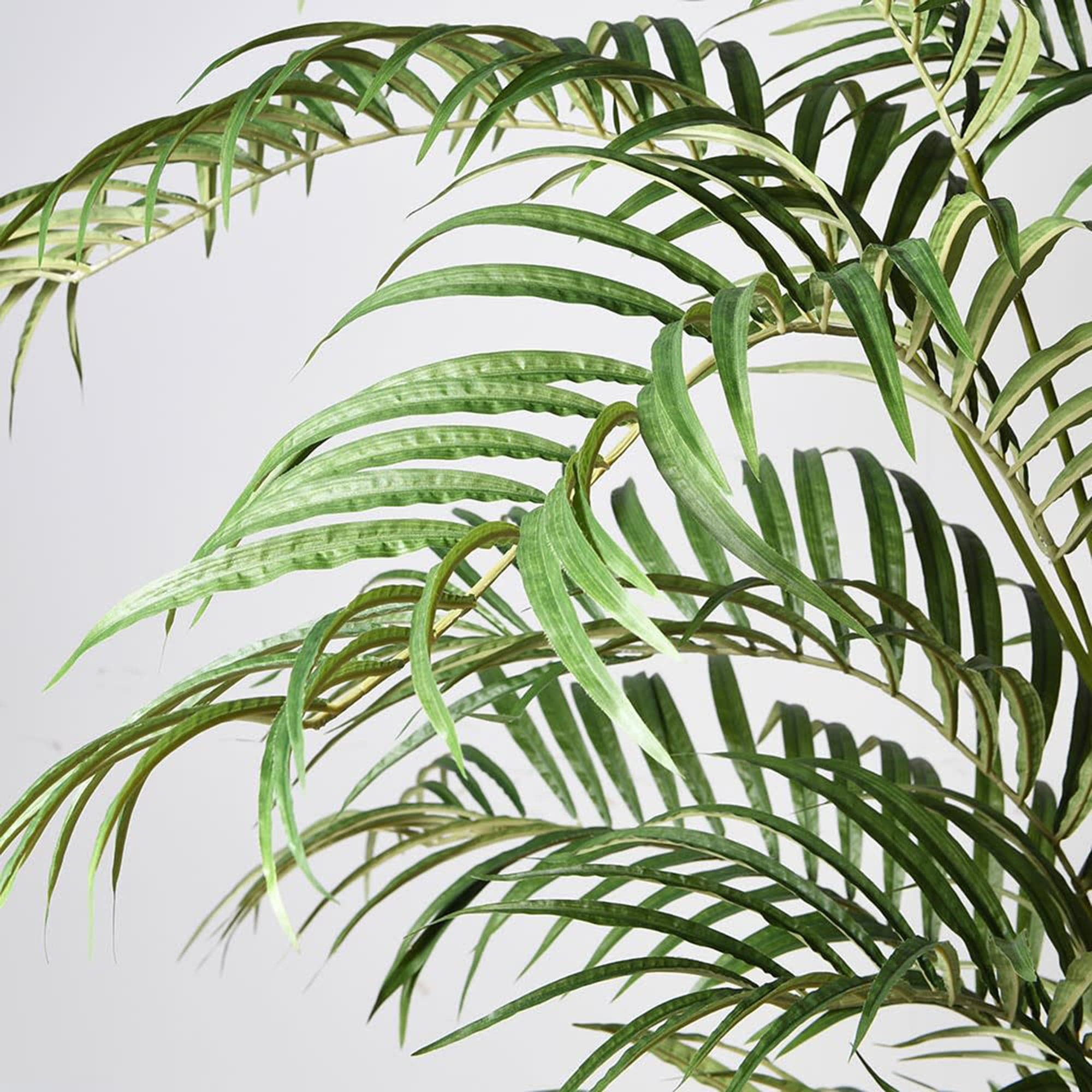 Artificial Plant - Potted Palm Tree, Small
