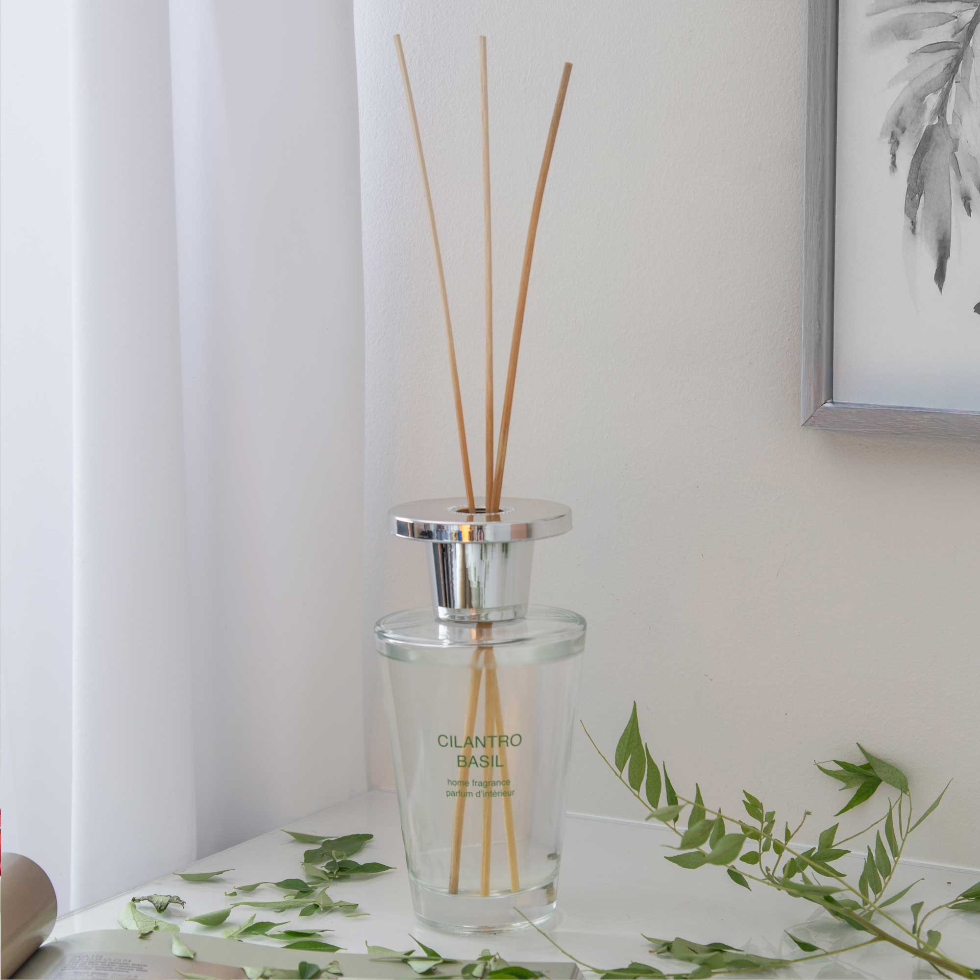Classic - Cilantro & Basil Reed Diffuser 300ml