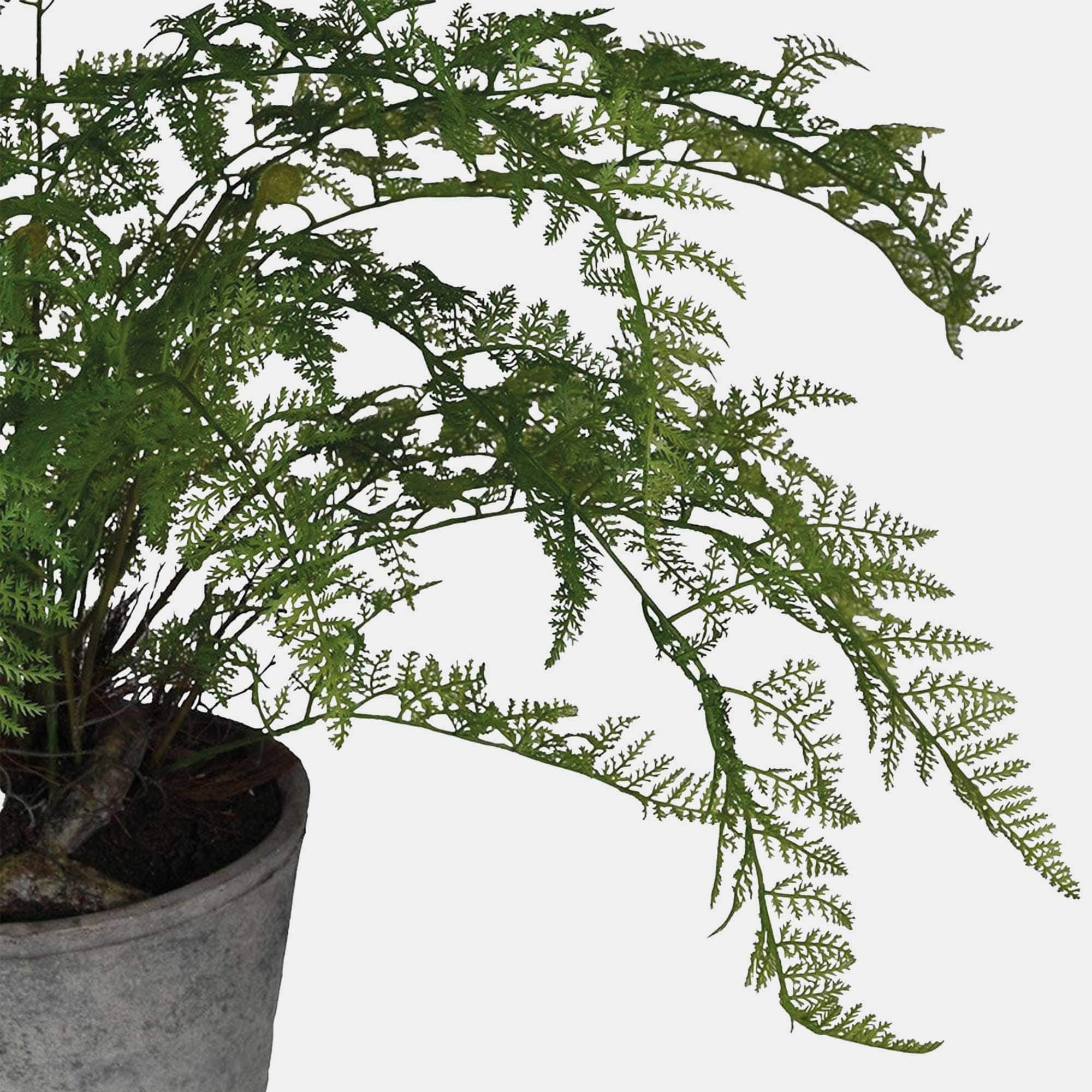 Artificial Plant - Potted Fern Bush