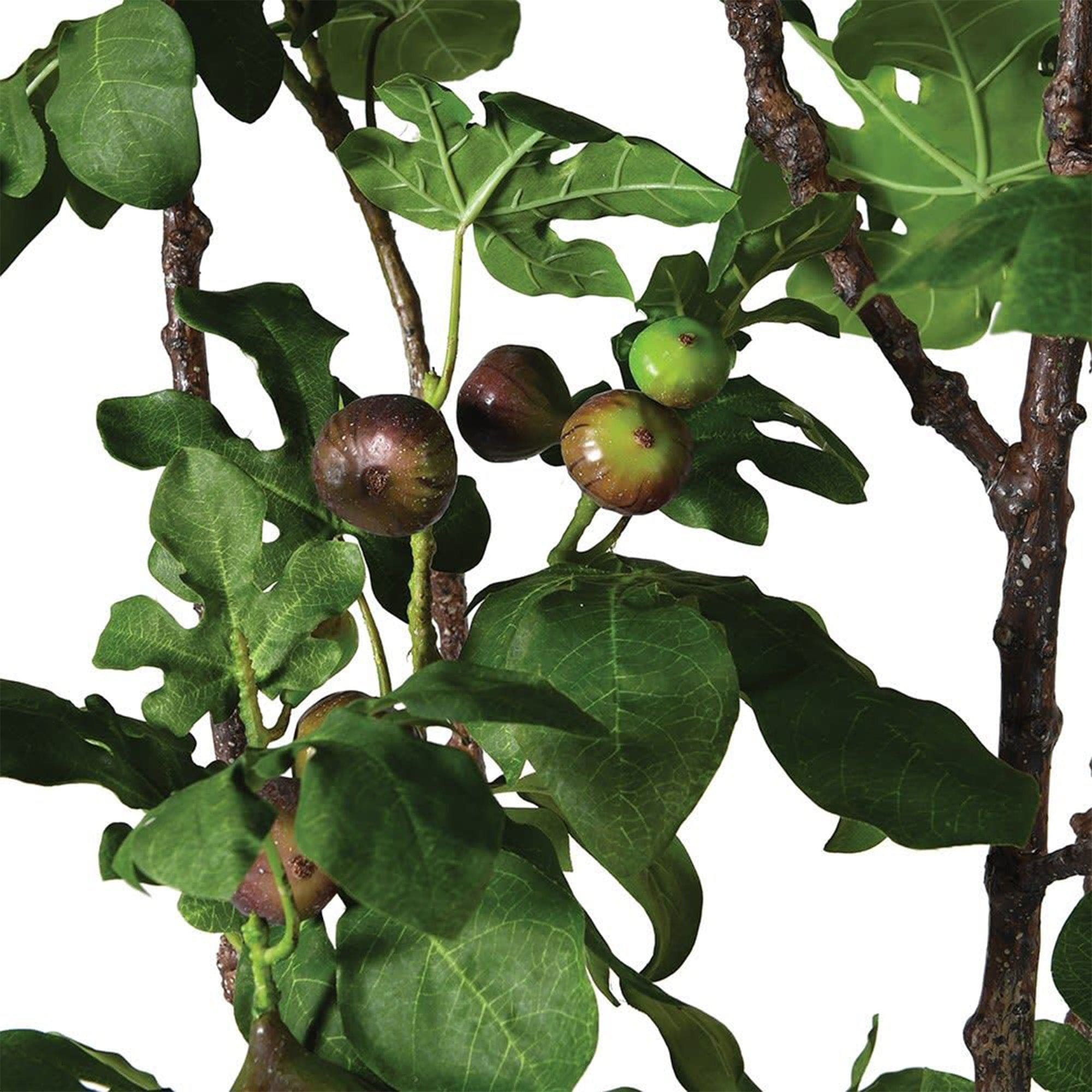 Artificial Plant - Potted Fig Plant