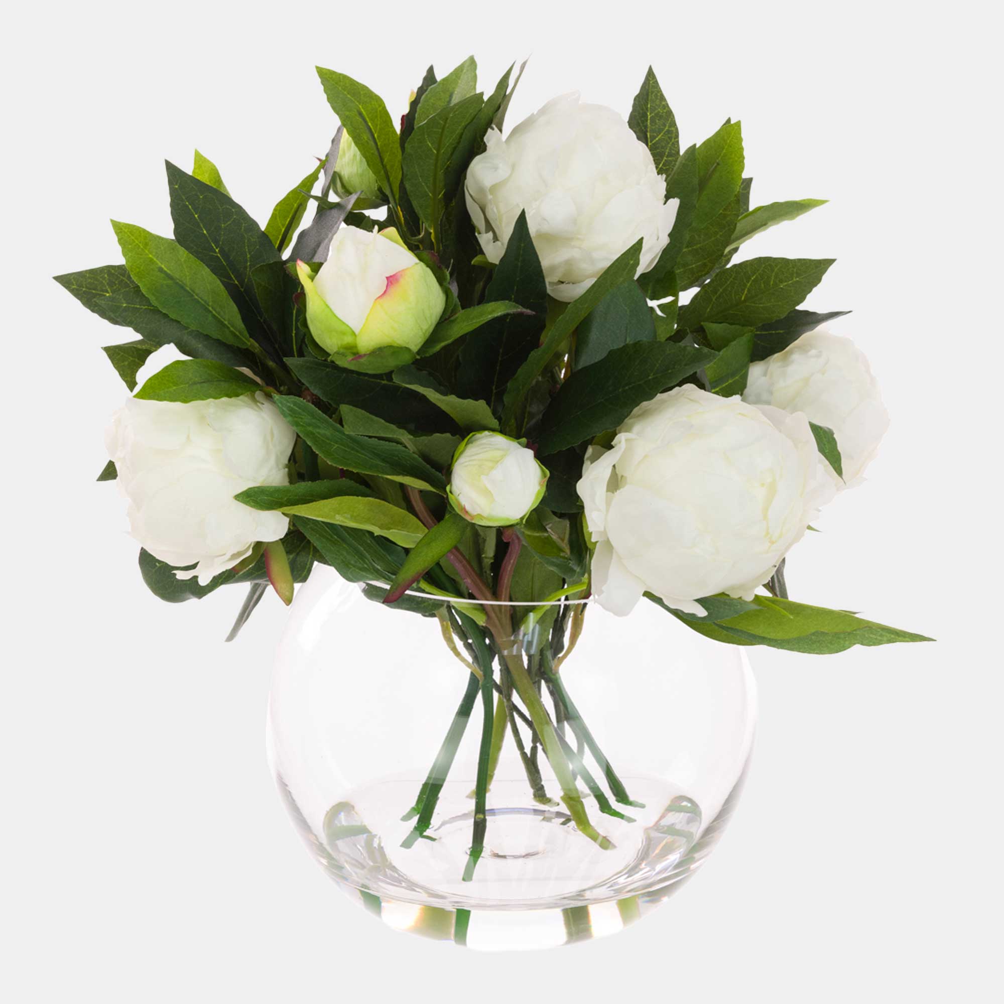 White Peonies - Arrangement in Globe Vase