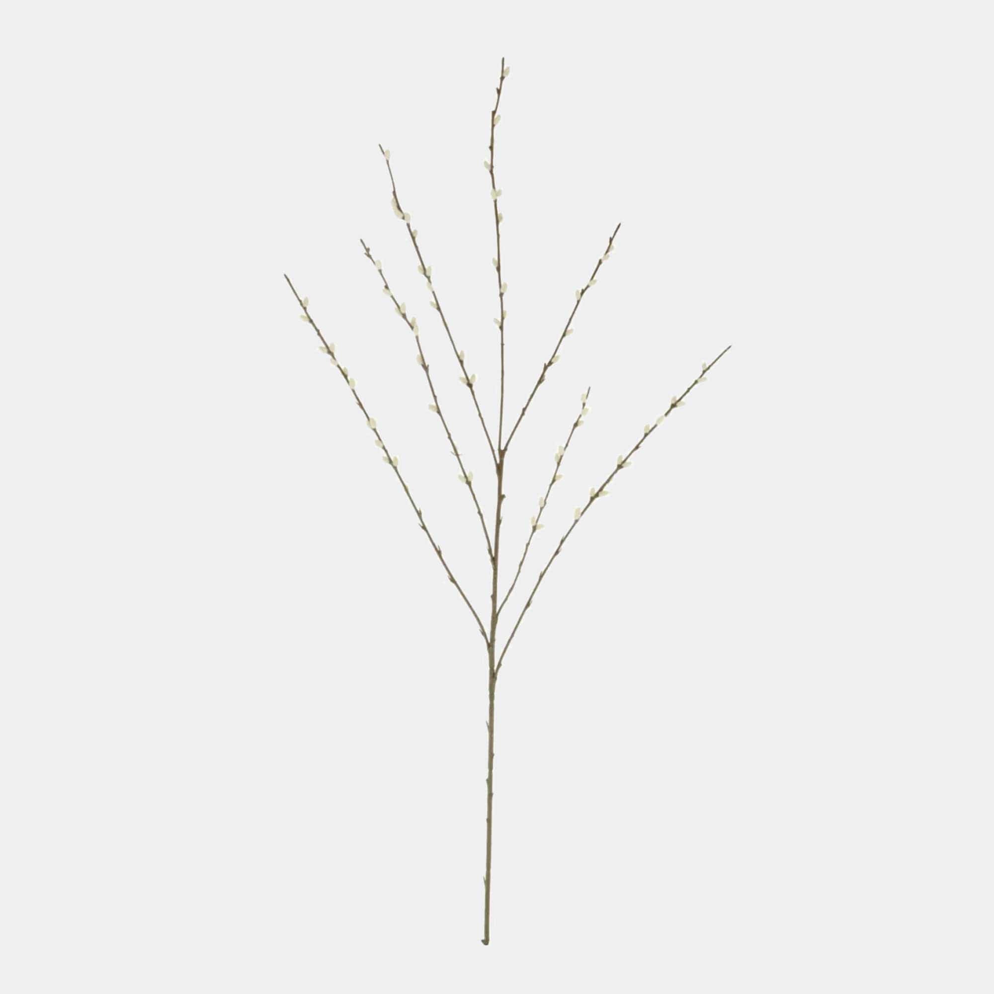Moonlit Willow - Cream Spray