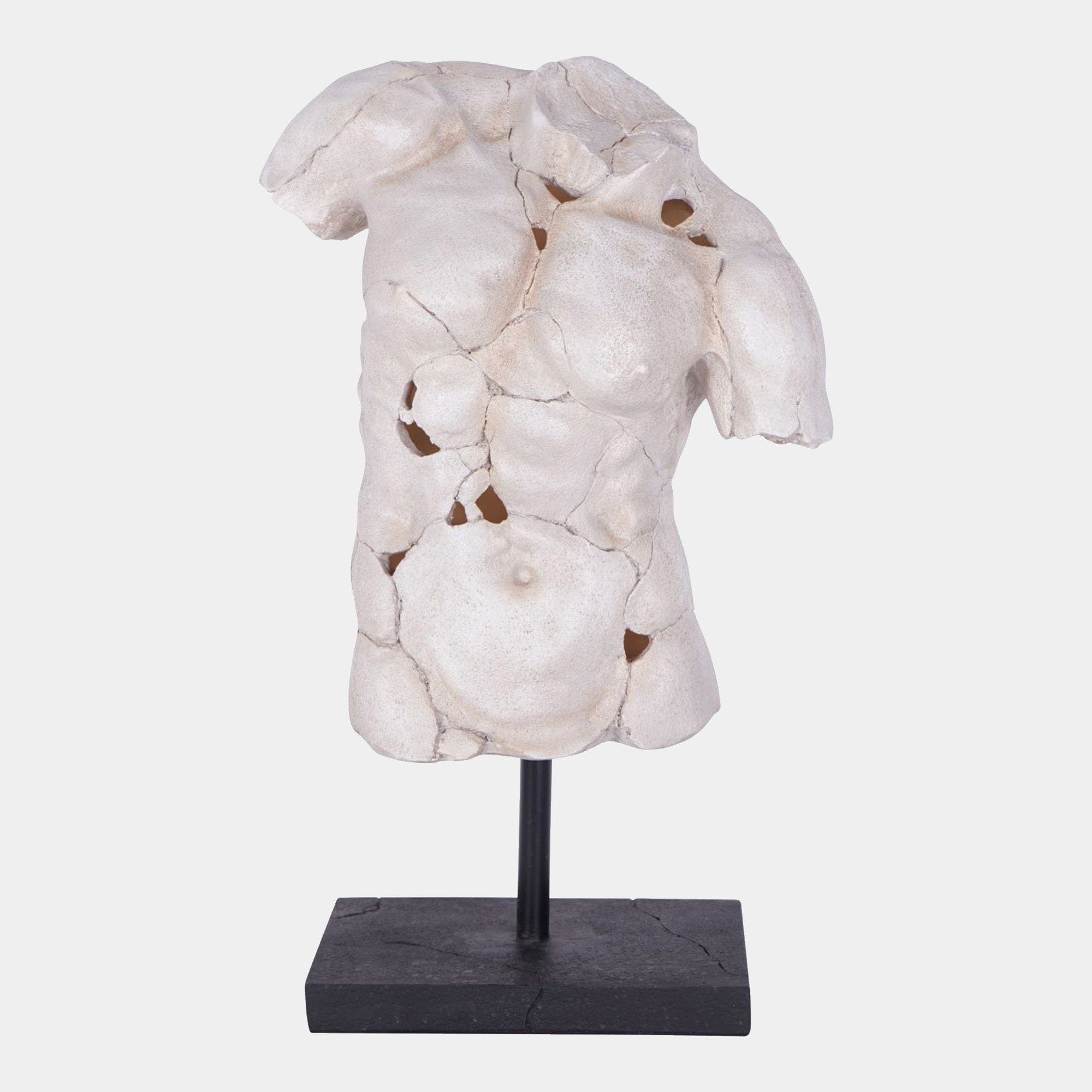 Male Torso - On Stand