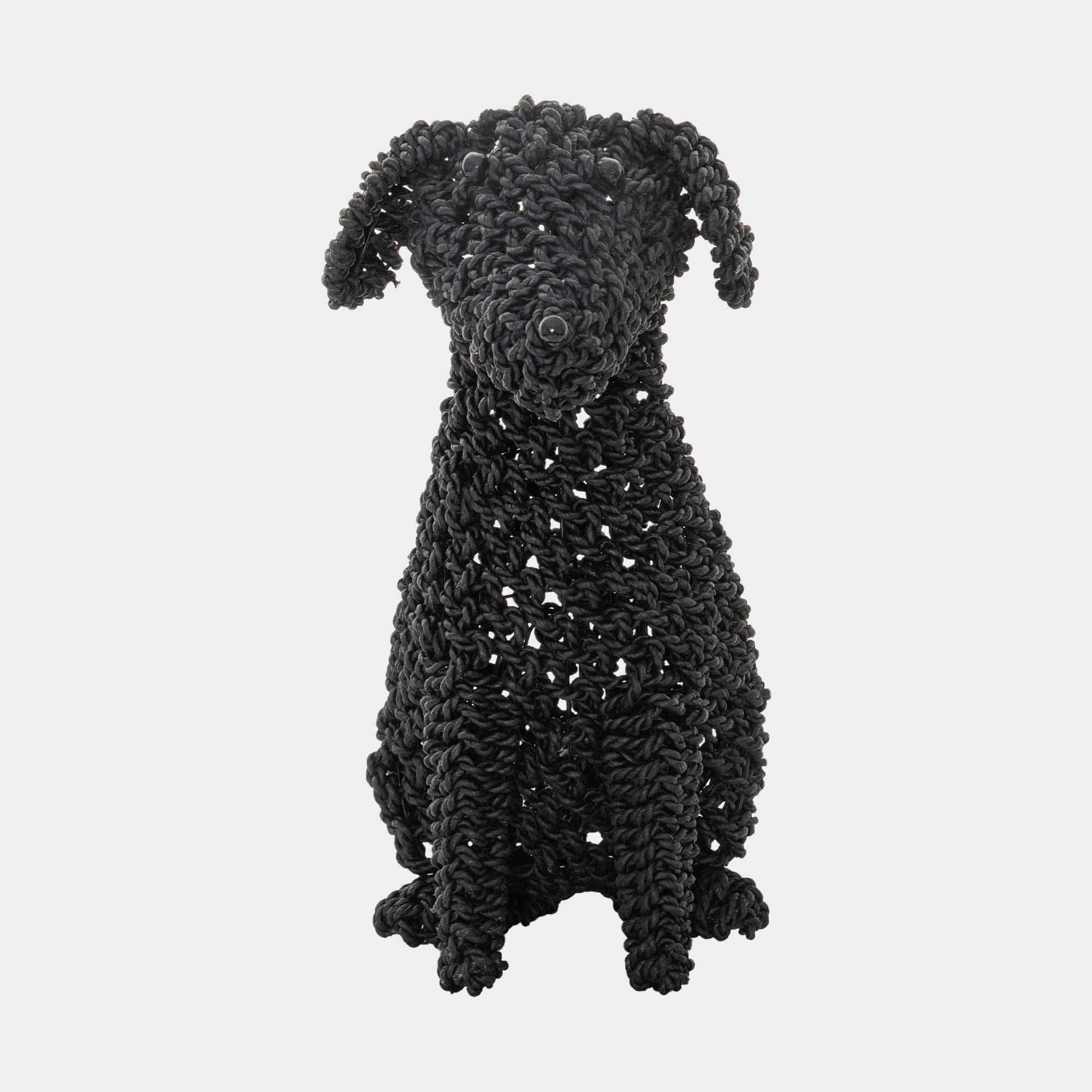 Cocoa - Seagrass Dog