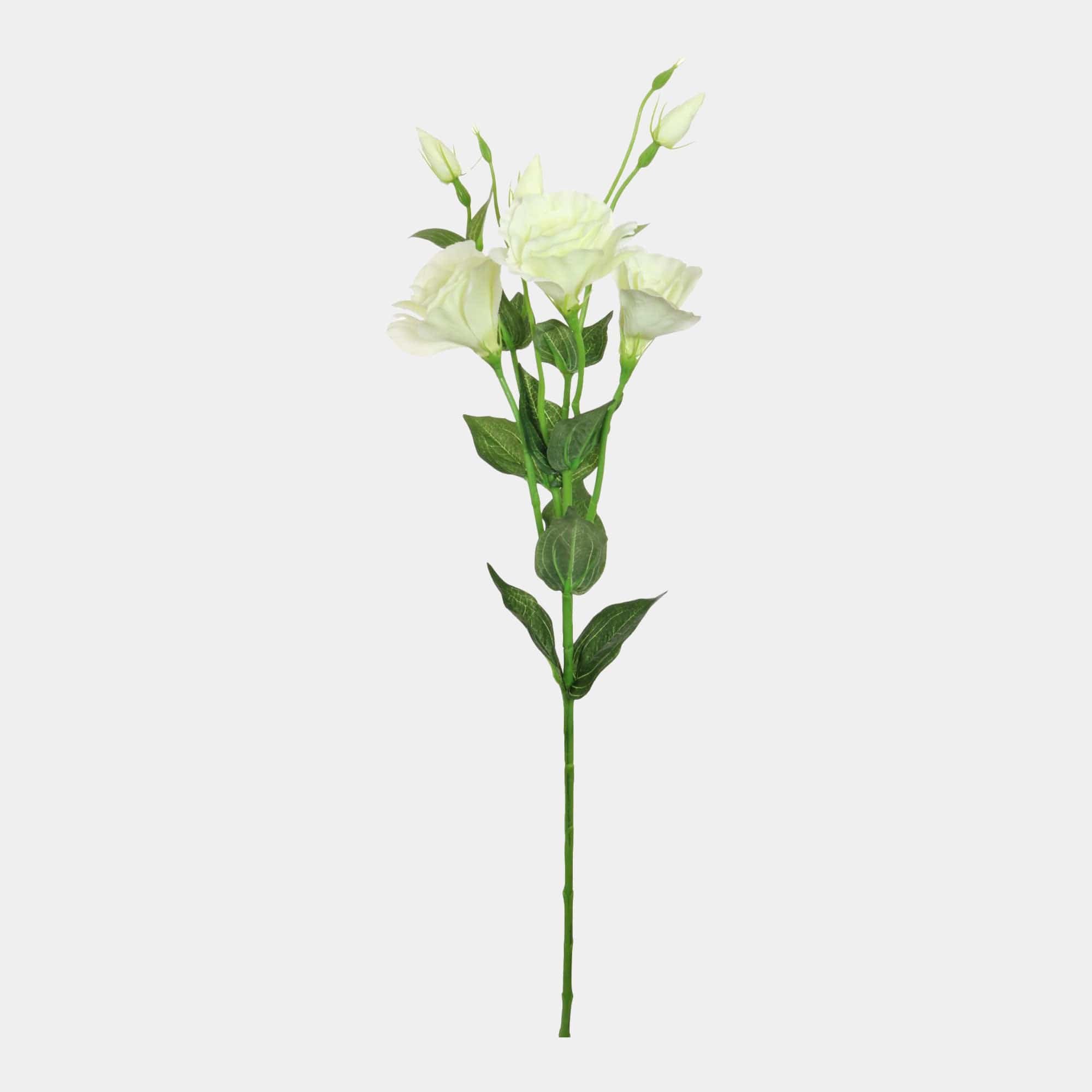 Royal - Lisianthus White Spray