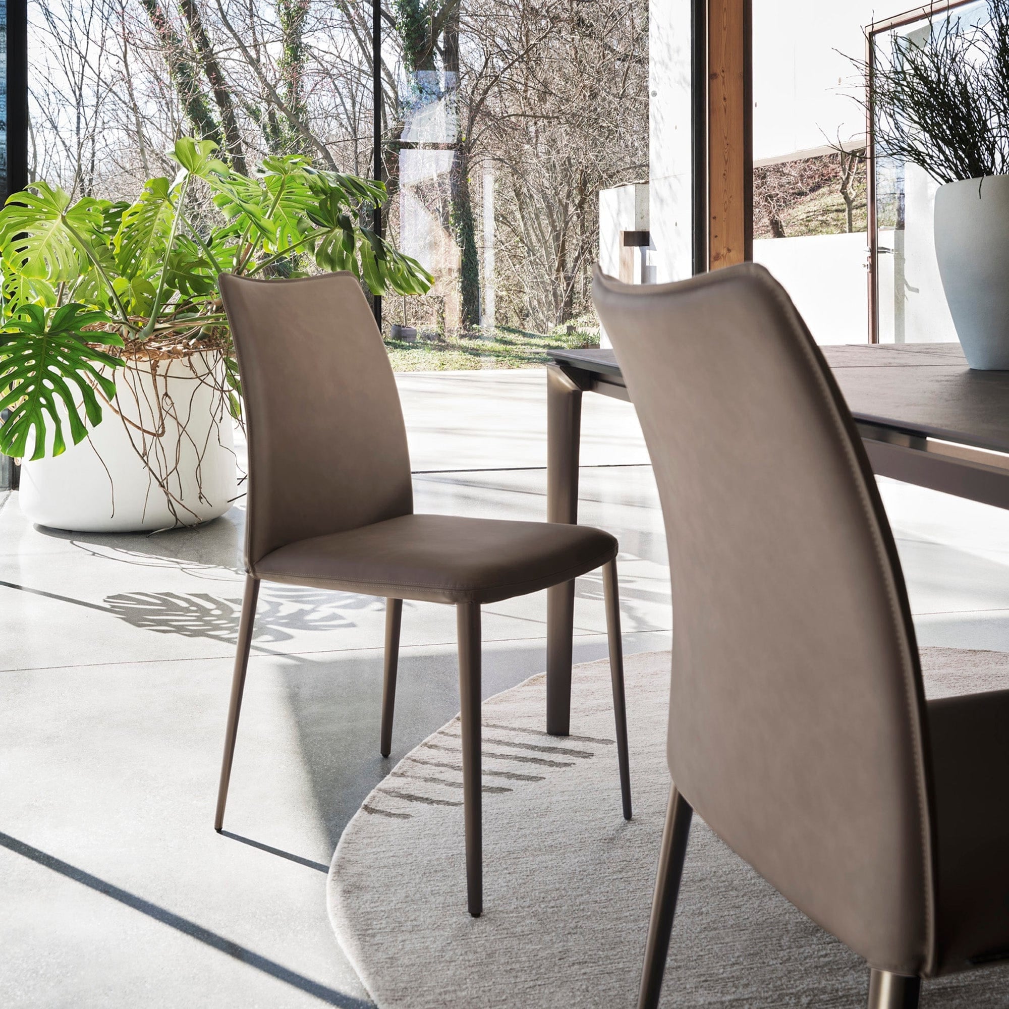 Calligaris Fay - Dining Chair, Leather