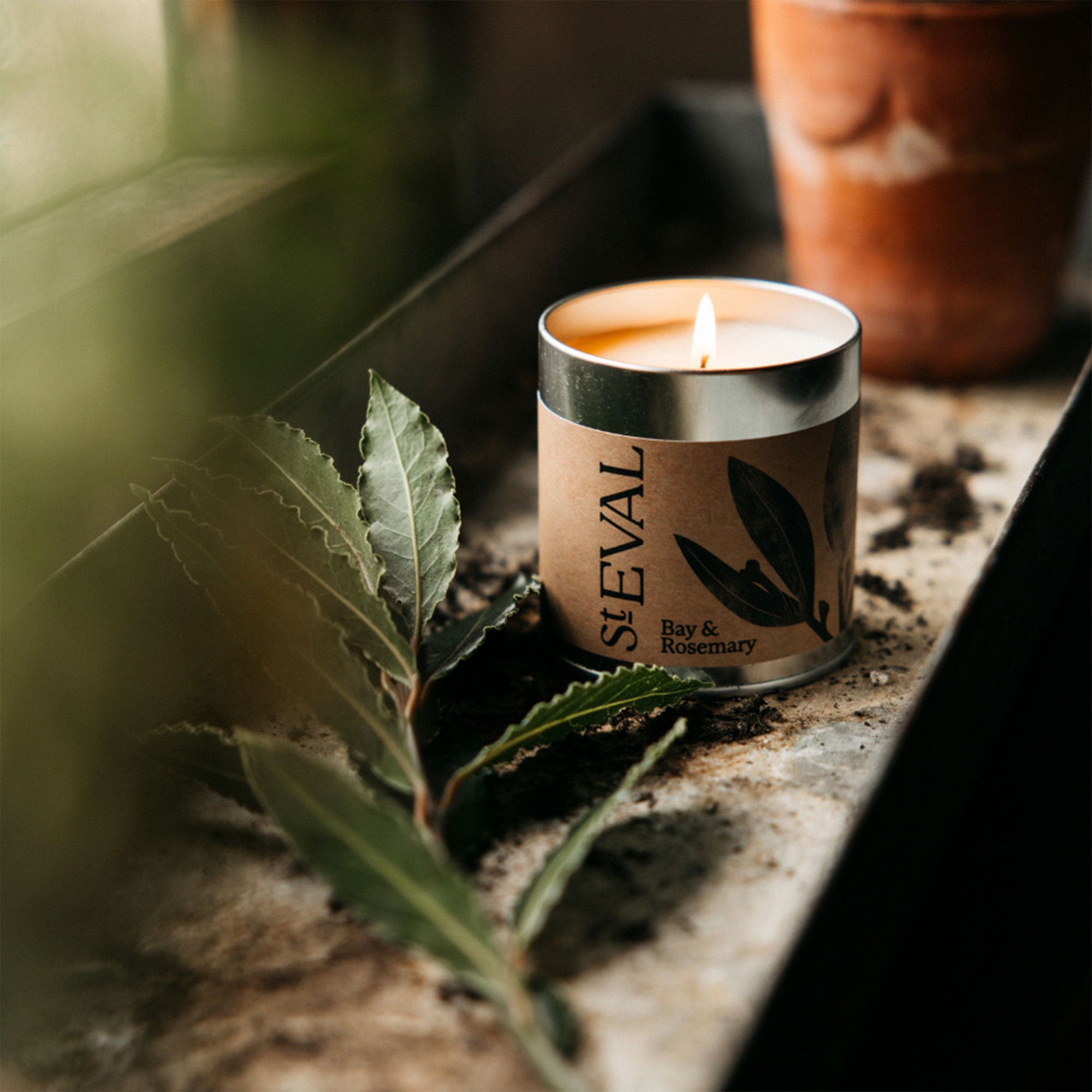 St Eval - Bay & Rosemary Scented Tealights and Tin Candle Set