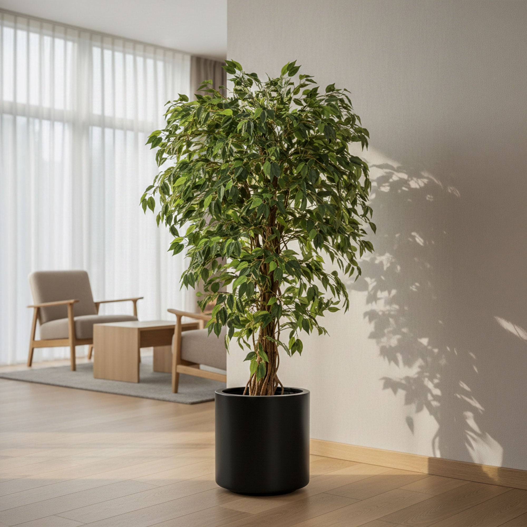 Artificial Plant - Potted Ficus Liana Plant