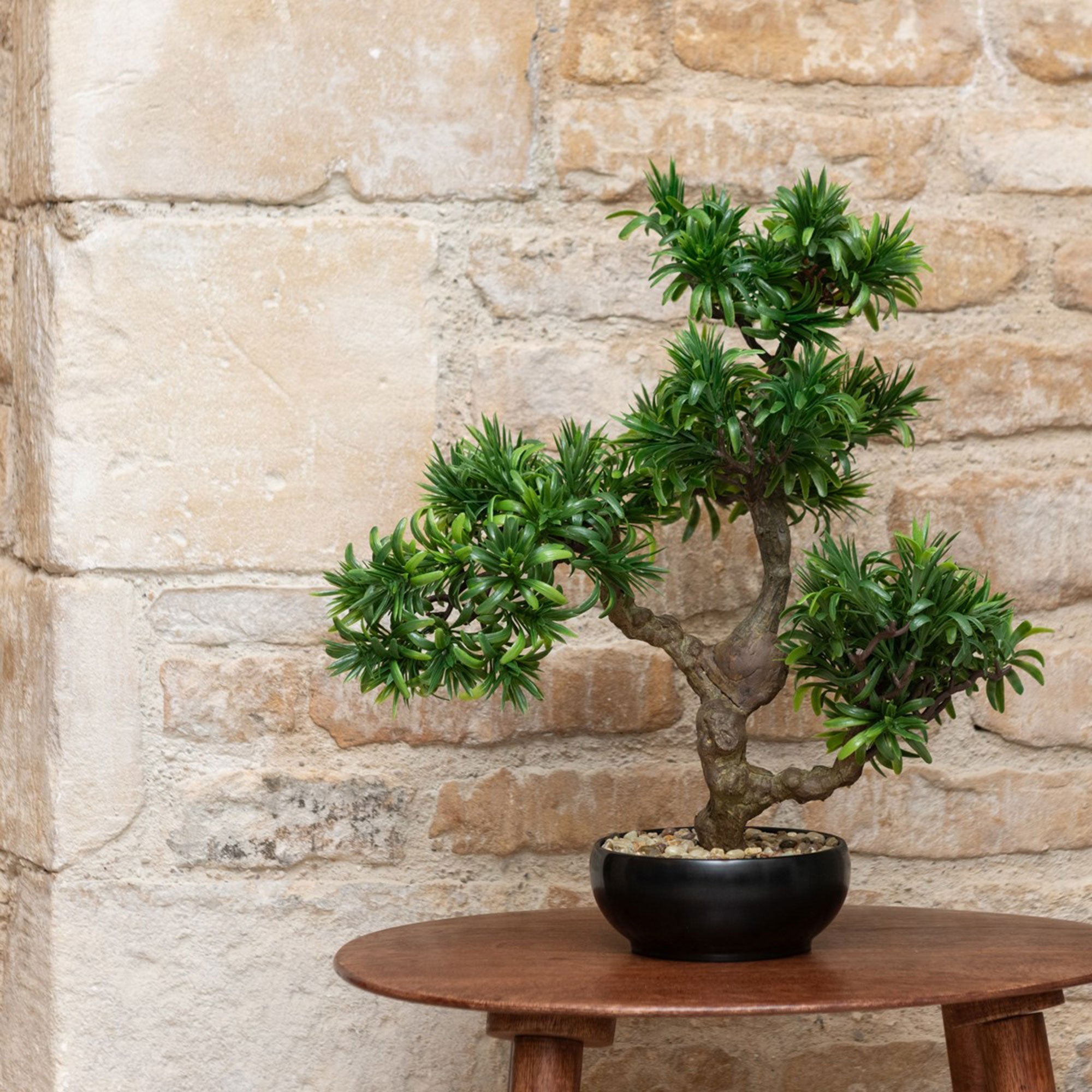 Artificial Plant - Potted Kensho Bonsai Tree