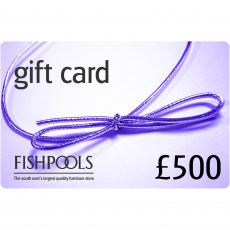 £500 Gift Card