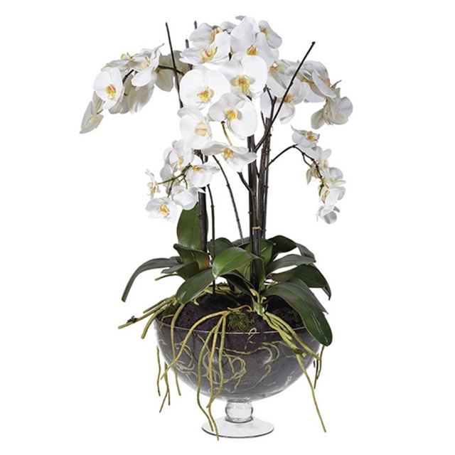 In White Glass Footed Bowl - White Phalaenopsis Orchids