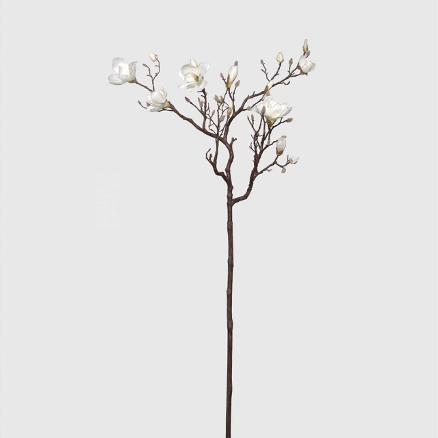 White Tree Branch - Magnolia
