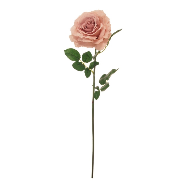 Single Pink Rose Stem - Tudor