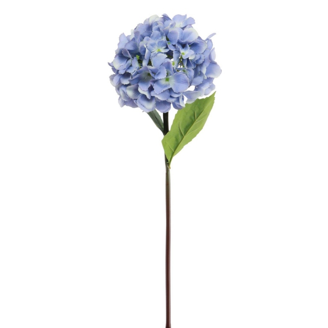 Blue Hydrangea Stem - Mophead