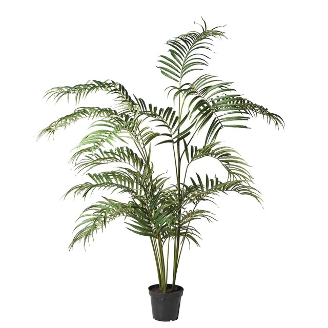 Potted Tree - Palm