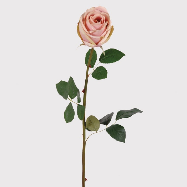 Soft Pink Stem - Rose Vienna