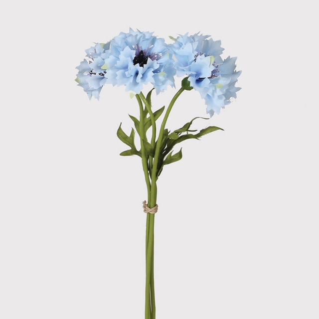 Blue Spray - Cornflower