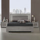 2 Doors Wardrobe Titanio/Silver Ash (Self Assembly Required)