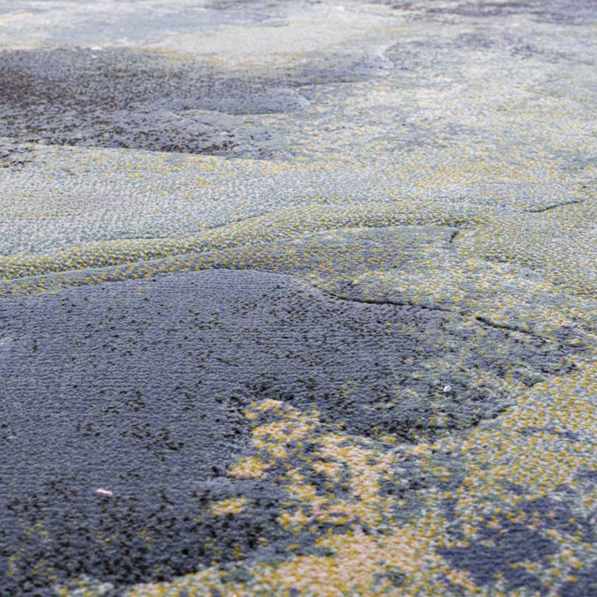 Galleria - Abstract Rug 240cm x 330cm