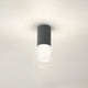 Jude - Garden Light, Grey