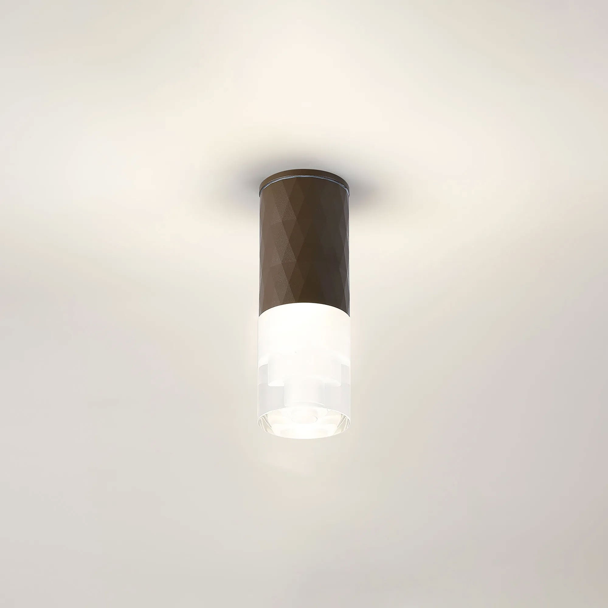 Jude - Garden Light, Brown