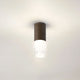 Jude - Garden Light, Brown