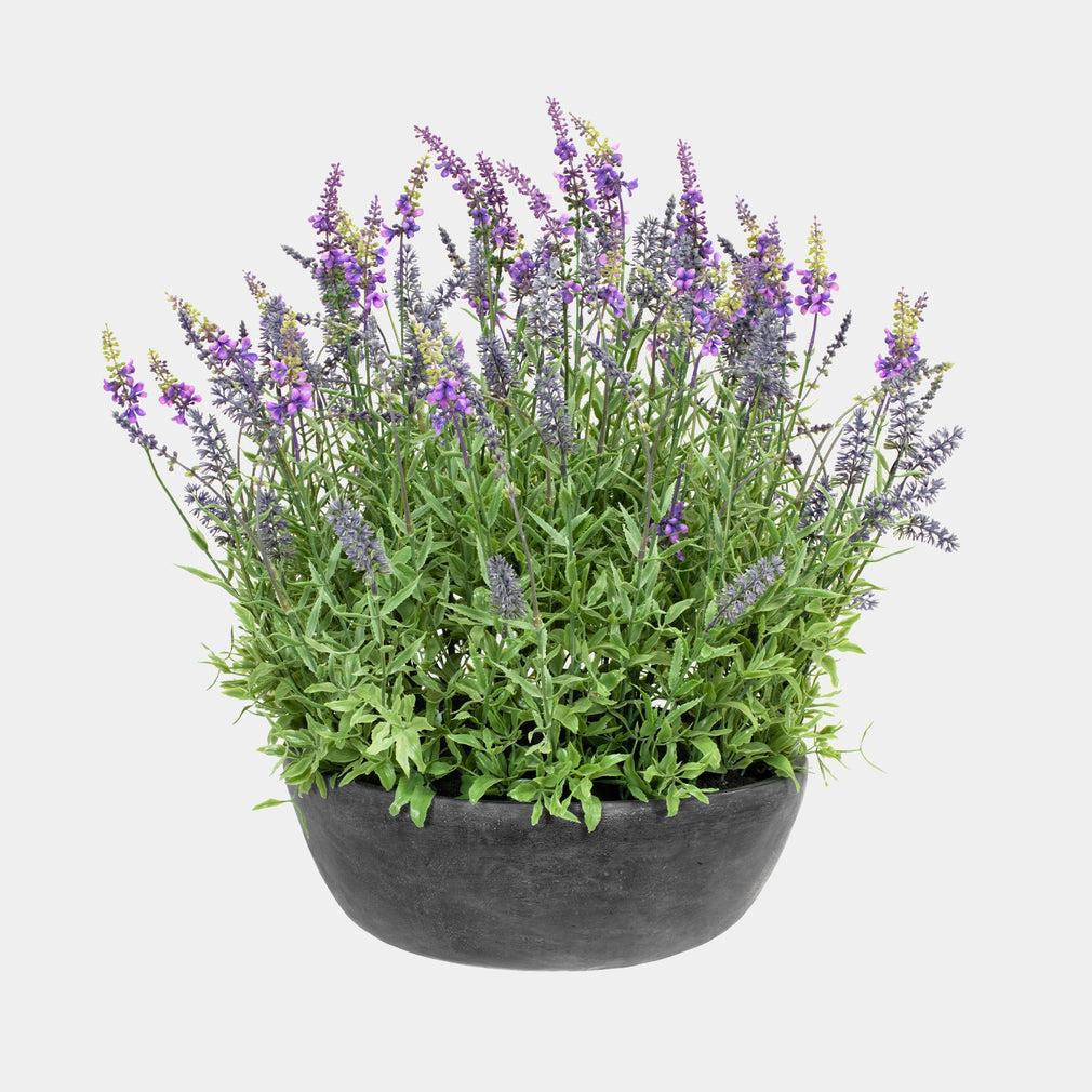 Artificial Plant - Lavender & Grey Bowl