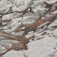 Quartz - Patterned Rug