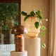 Derry Copper Bronze - Table Lamp