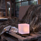 Moxton Black & White - Outdoor Lantern Lamp