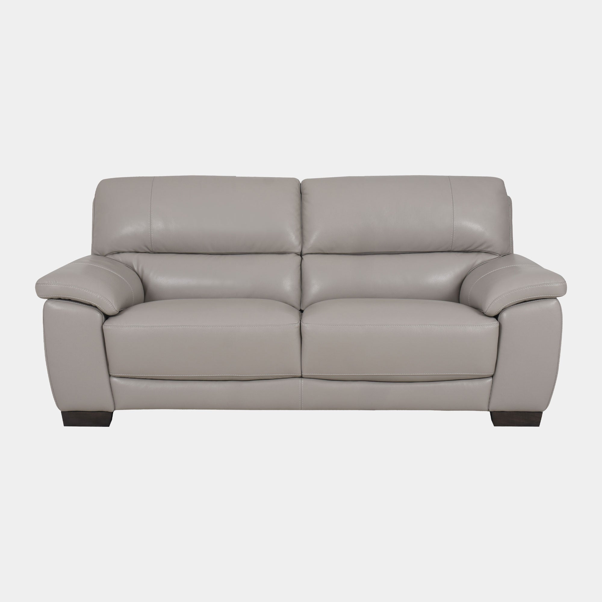 Georgetown - 2 Seat Sofa, Leather