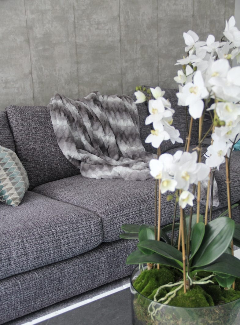 24720-basement 4.jpg