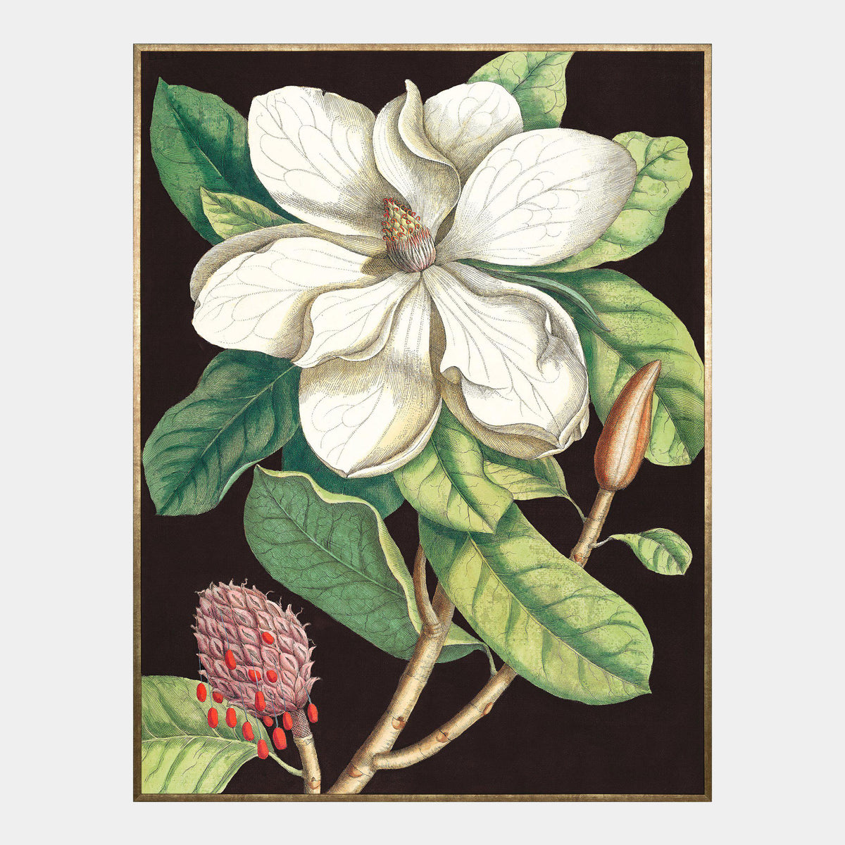 Laurel Tree - Framed Canvas Wall Art
