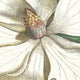 Laurel Tree - Framed Canvas Wall Art