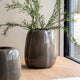 Claro - Glass Vase, Taupe