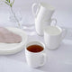 Royal Worcester Serendipity - Mugs, Set of 4
