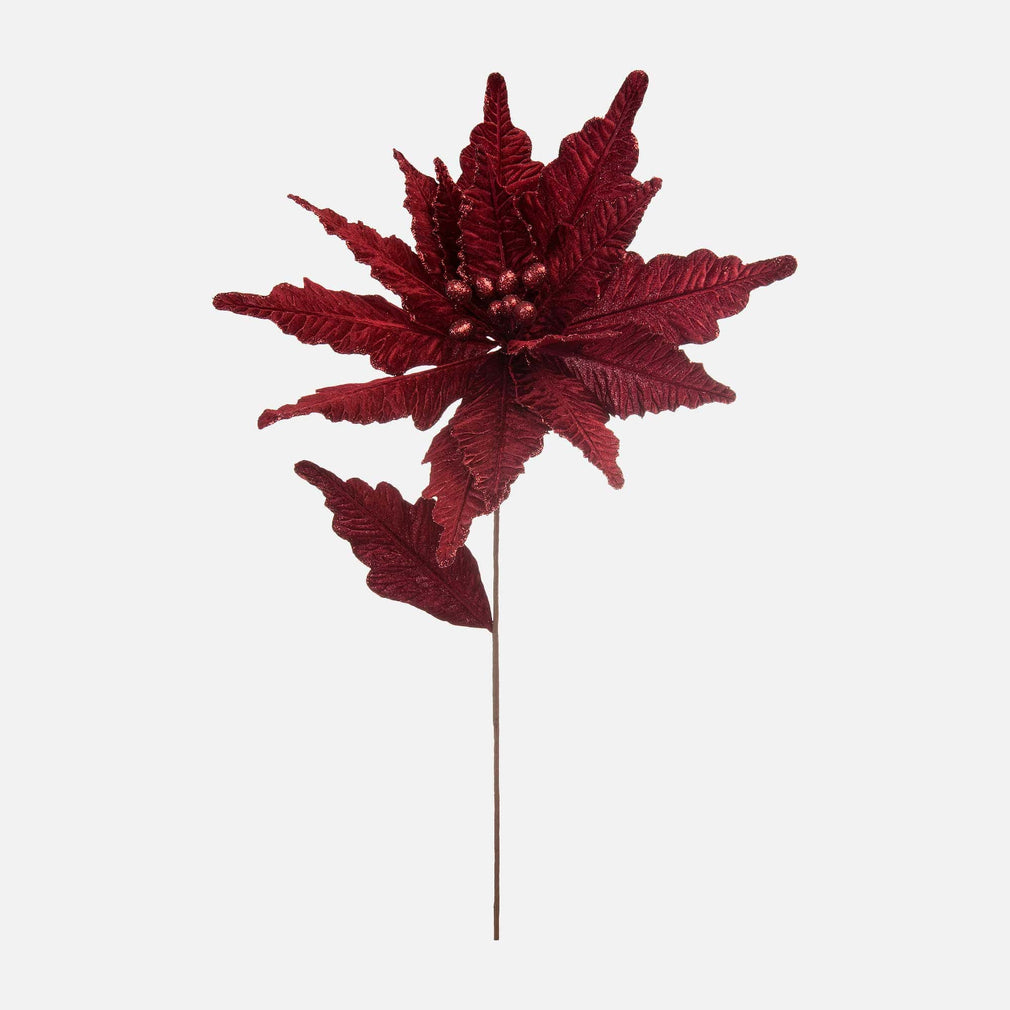 Velvet Poinsettia - Burgundy Red Stem