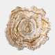 Asimi - Decorative Bowl, Neutral Glass