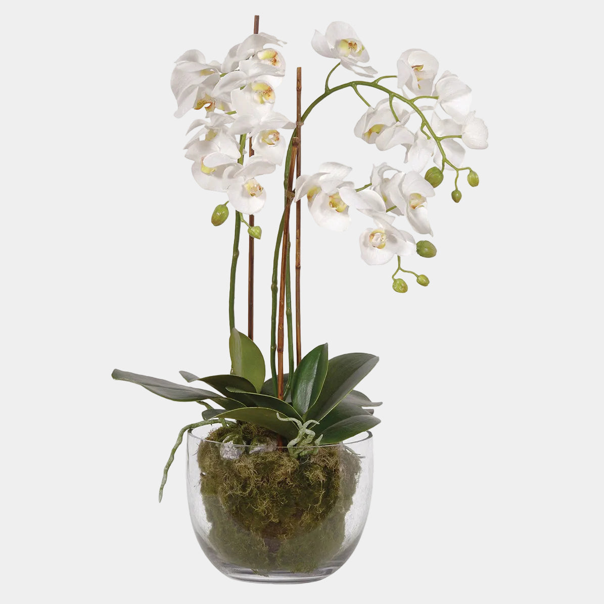 Phalaenopsis Faux Flower - White Orchid in Planter