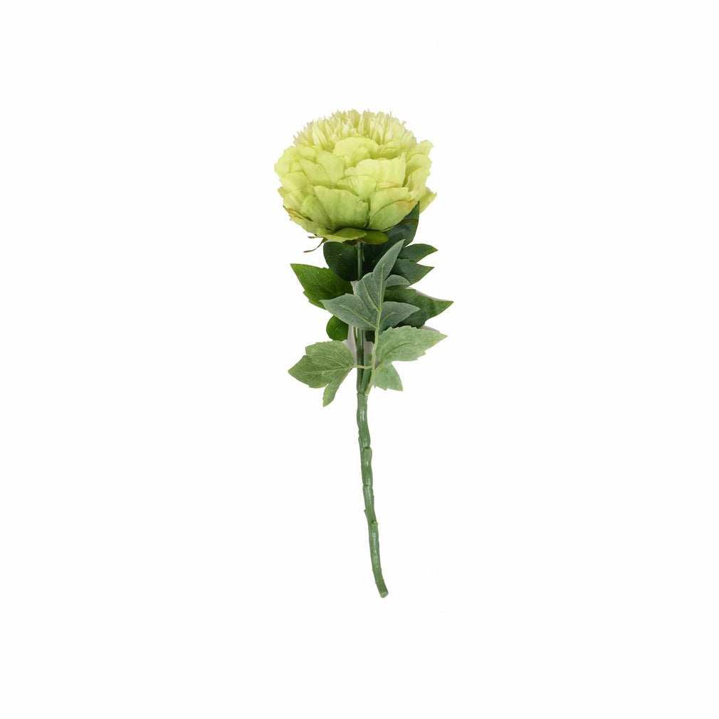 Green Peony Stem 43cm (FR)