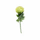Green Peony Stem 43cm (FR)