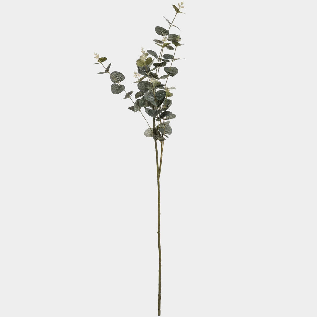 Eucalyptus Spray (BO)