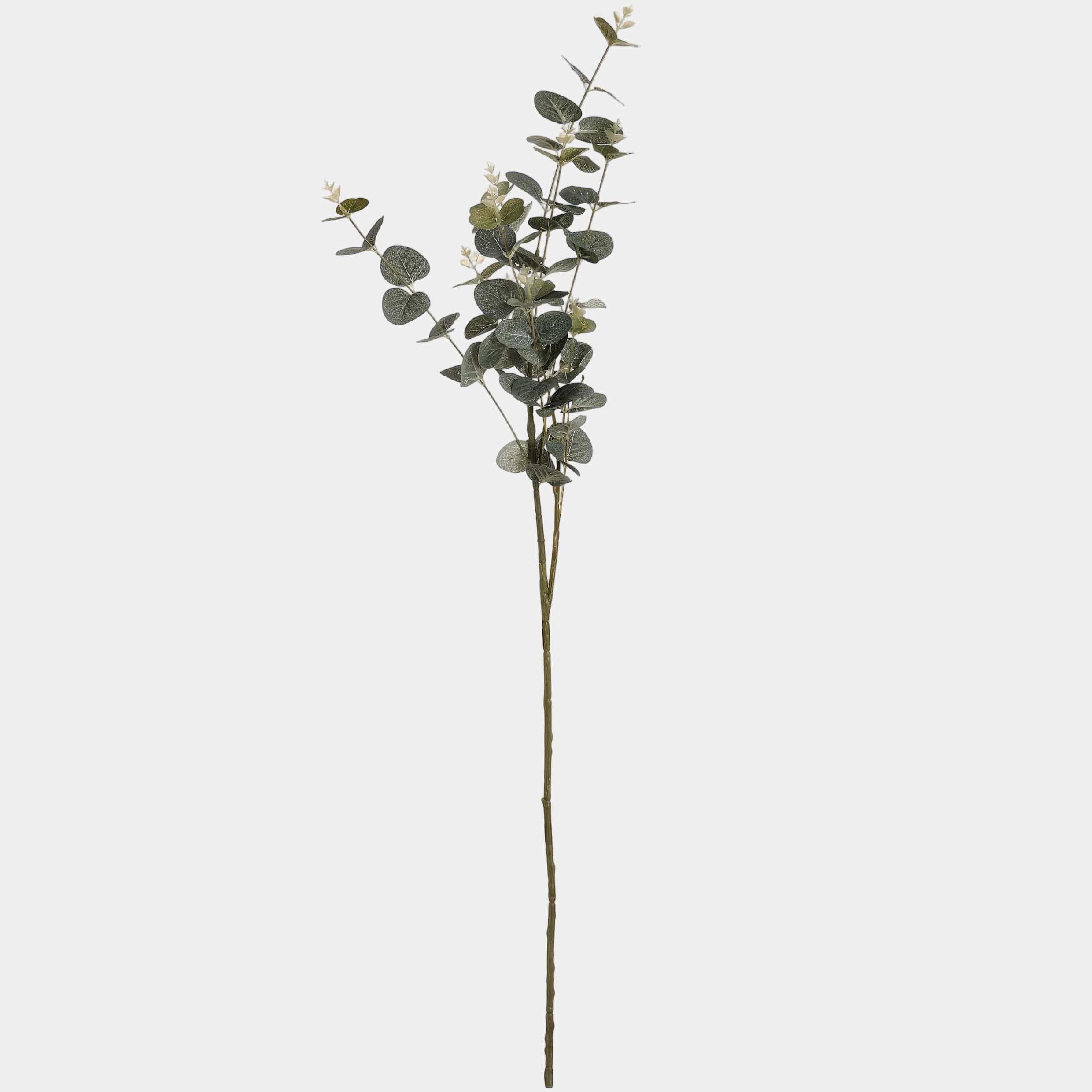 Eucalyptus Spray (BO)